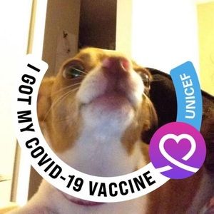 Meet your Posher, Marion